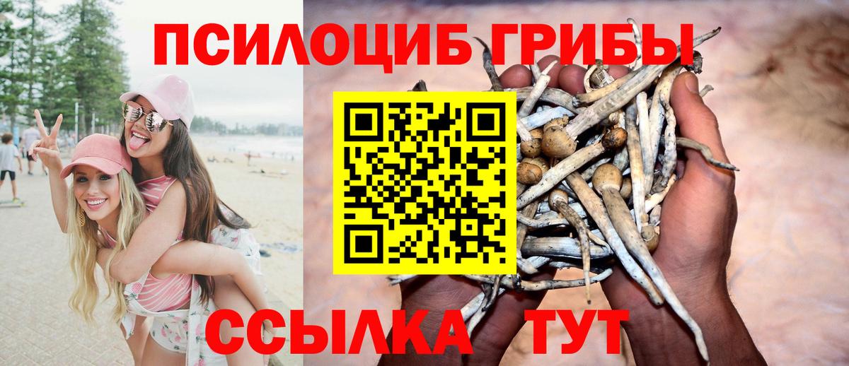 Дятьково  Галлюциногенные грибы мицелий  Вход с VPN 