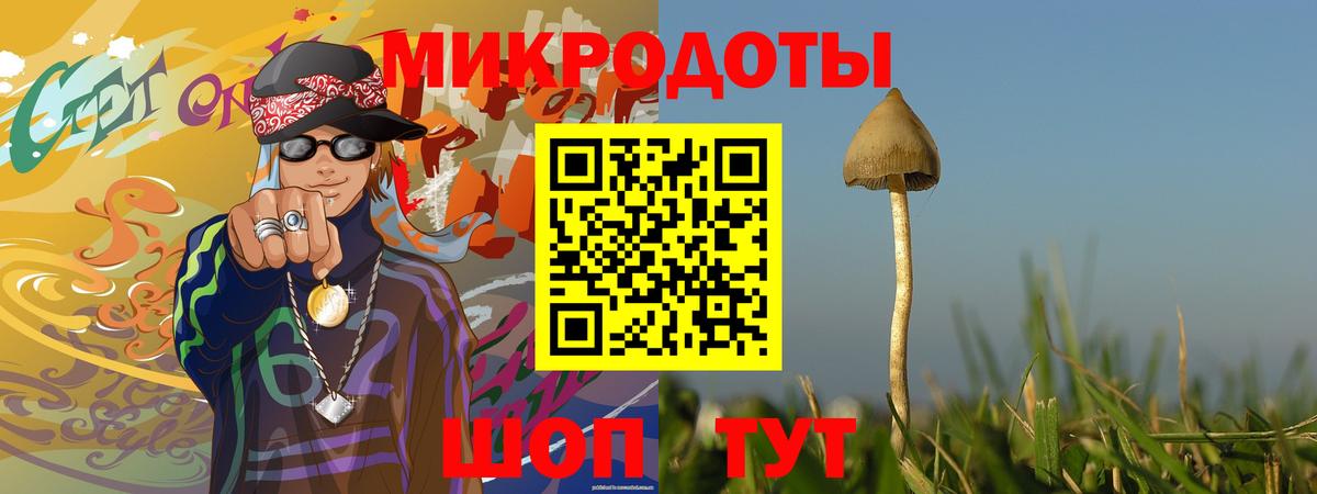 Галлюциногенные грибы прущие грибы Дятьково