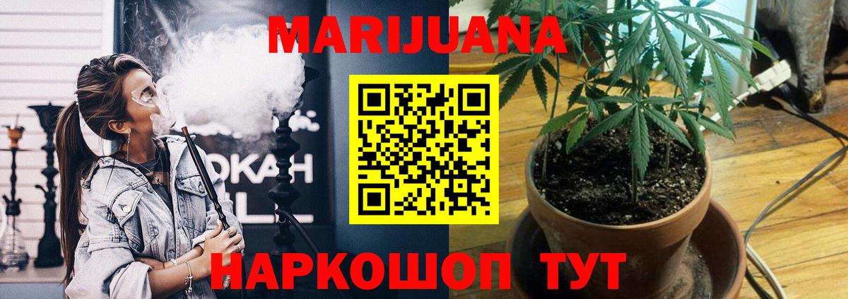 Шишки марихуана марихуана Дятьково